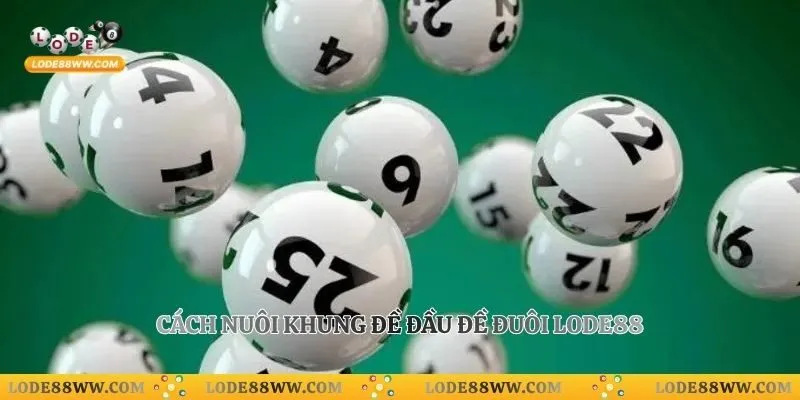 Cách nuôi khung đề đầu đề đuôi Lode88
