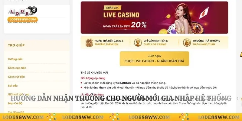 Hướng dẫn nhận thưởng cho người mới gia nhập hệ thống