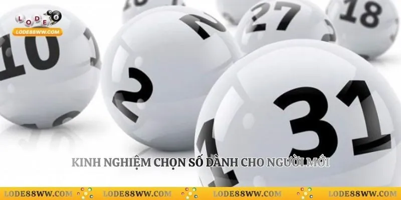 Kinh nghiệm chọn số dành cho người mới