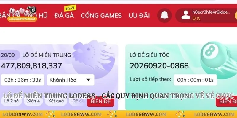 Lô Đề Miền Trung Lode88 - Các Quy Định Quan Trọng Về Vé Cược
