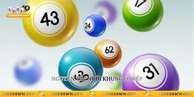 Nguyên tắc nuôi khung lô kép